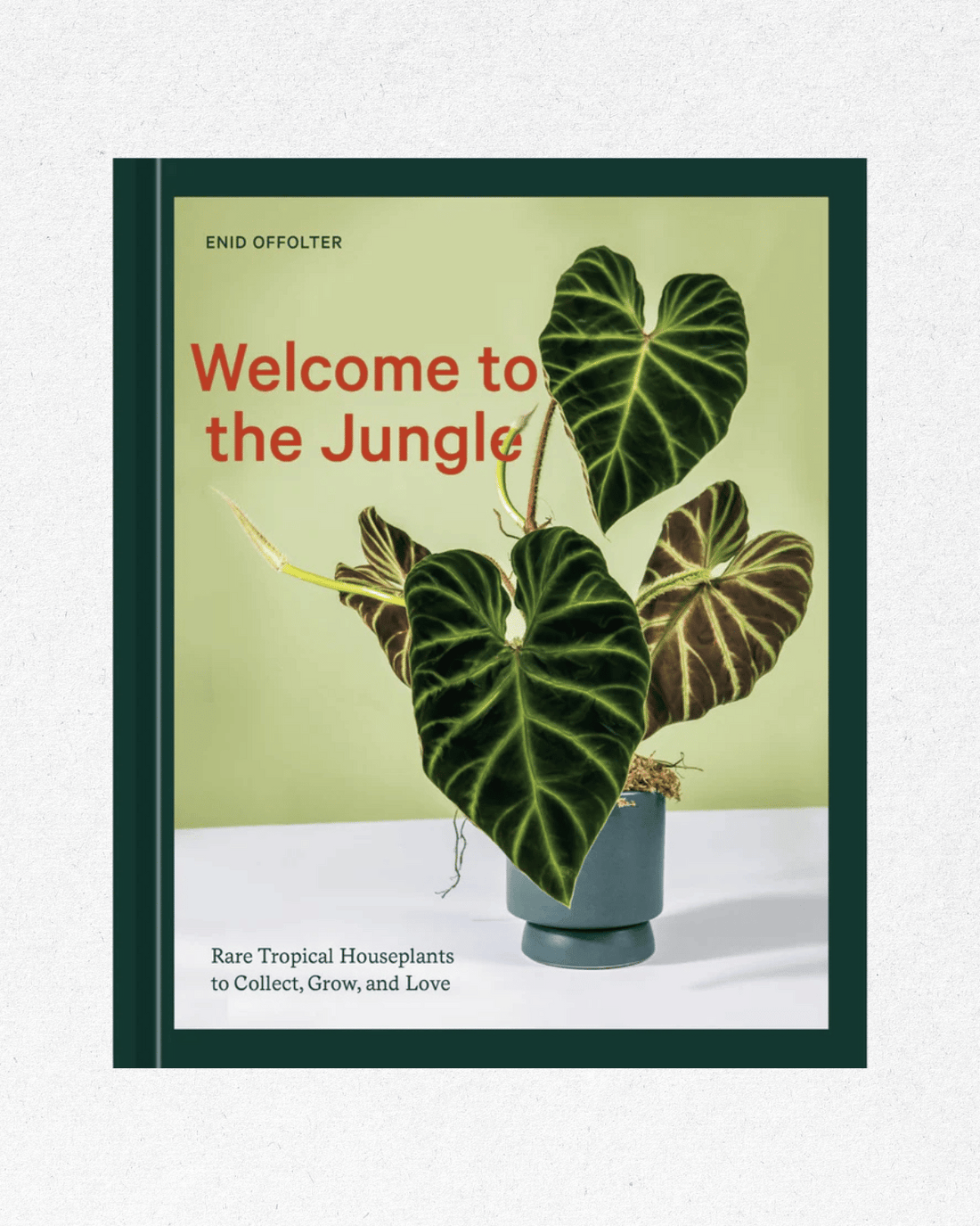 Welcome to the Jungle