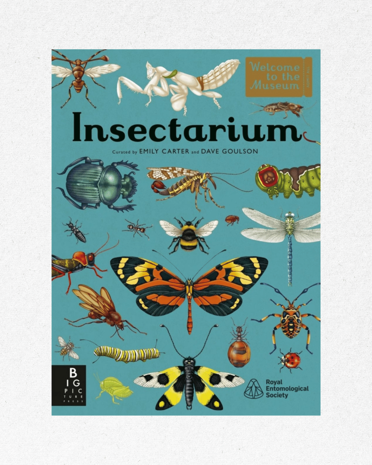 Insectarium: Welcome to the Museum