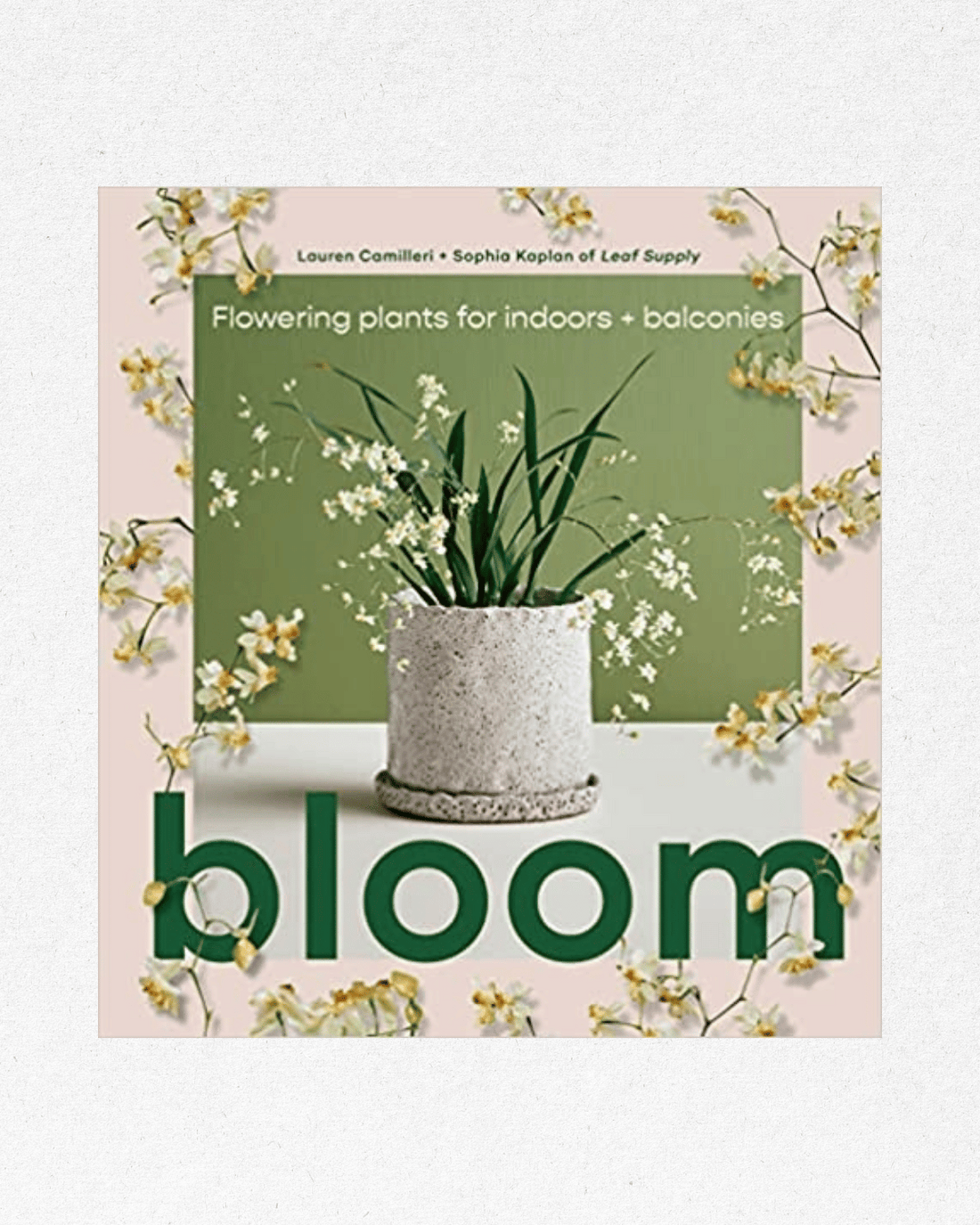 Bloom