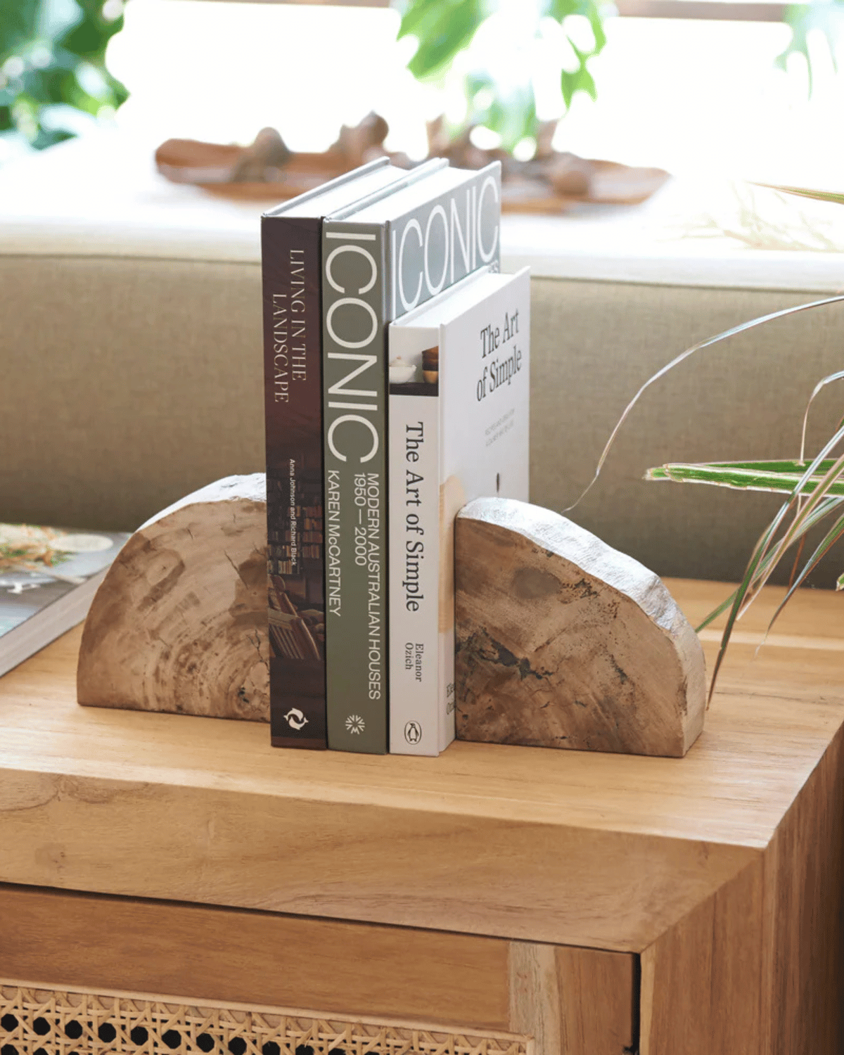 Acadia Petrified Wood Bookends by Inartisan 