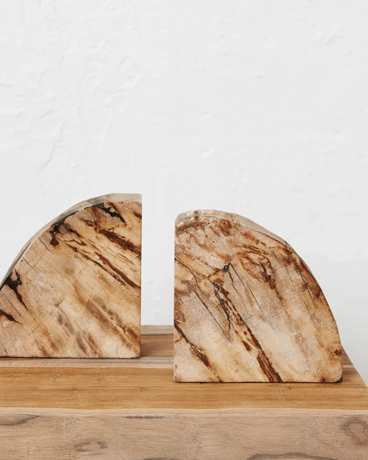 Acadia Petrified Wood Bookends by Inartisan 