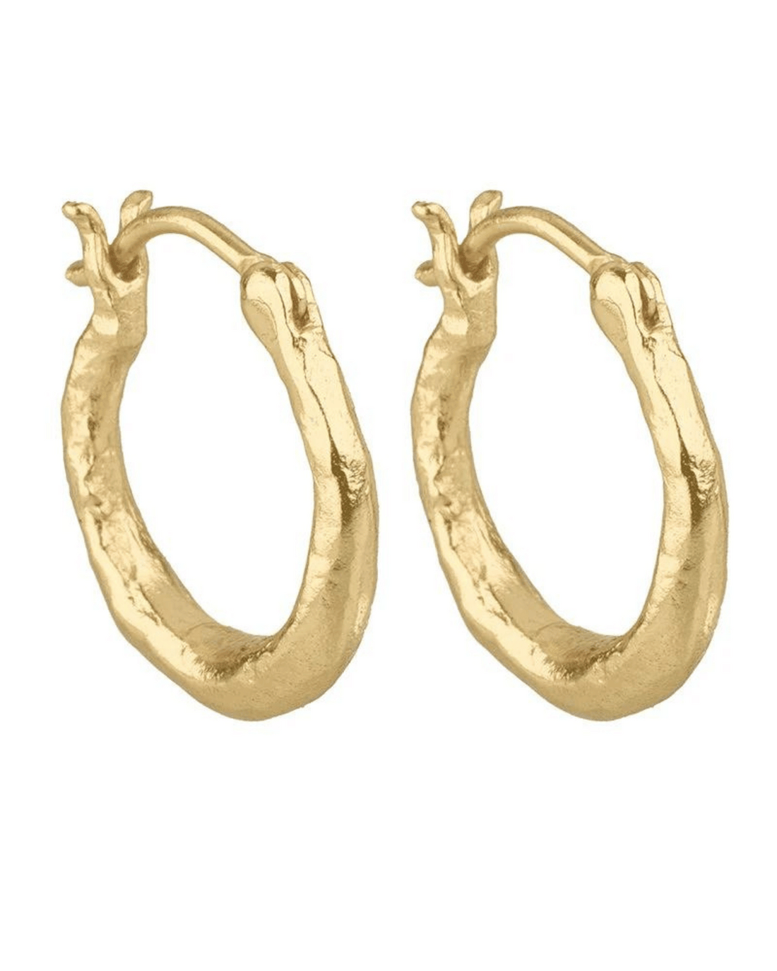 Adele Hoop Earrings &amp; by Cleopatra&