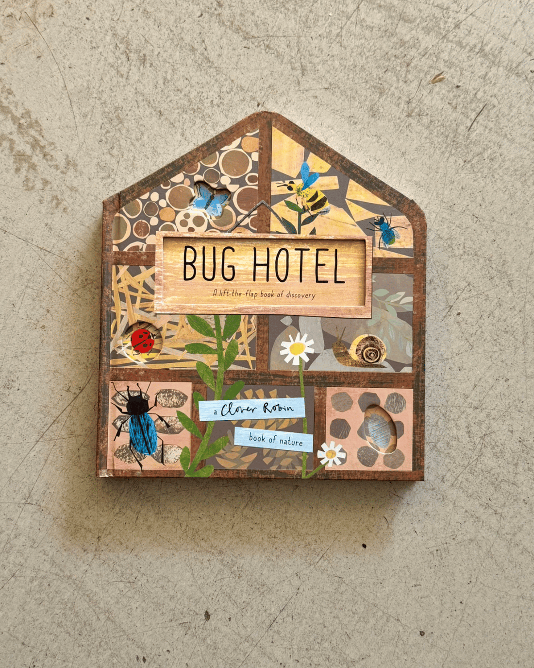 bug hotel board book