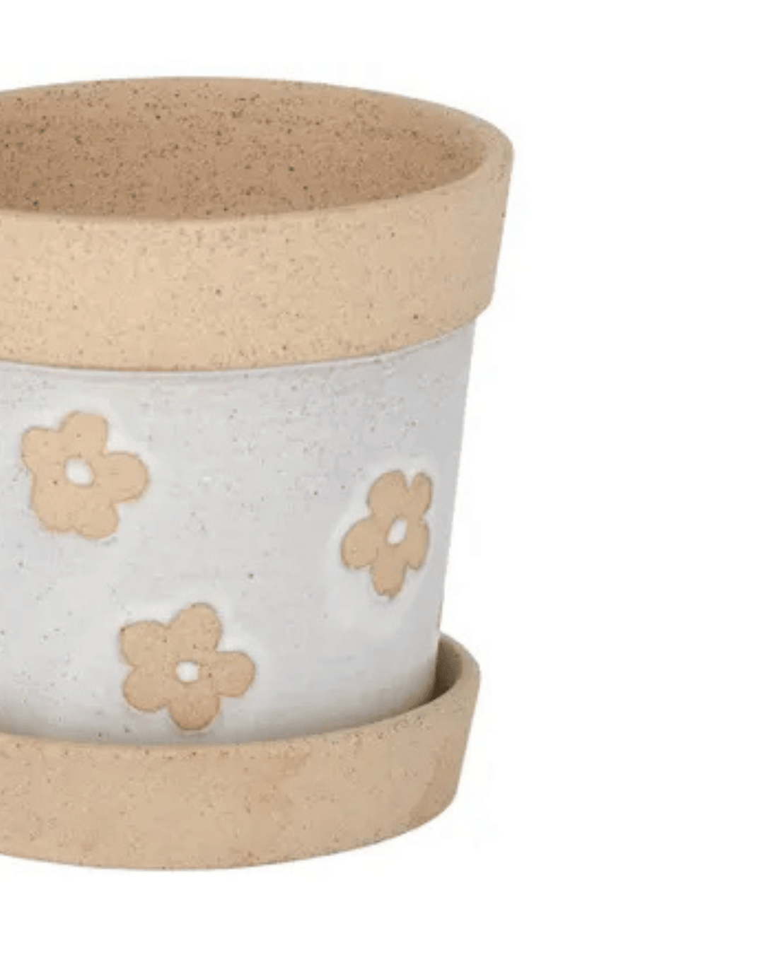 Daisy Planter Pot + Saucer 