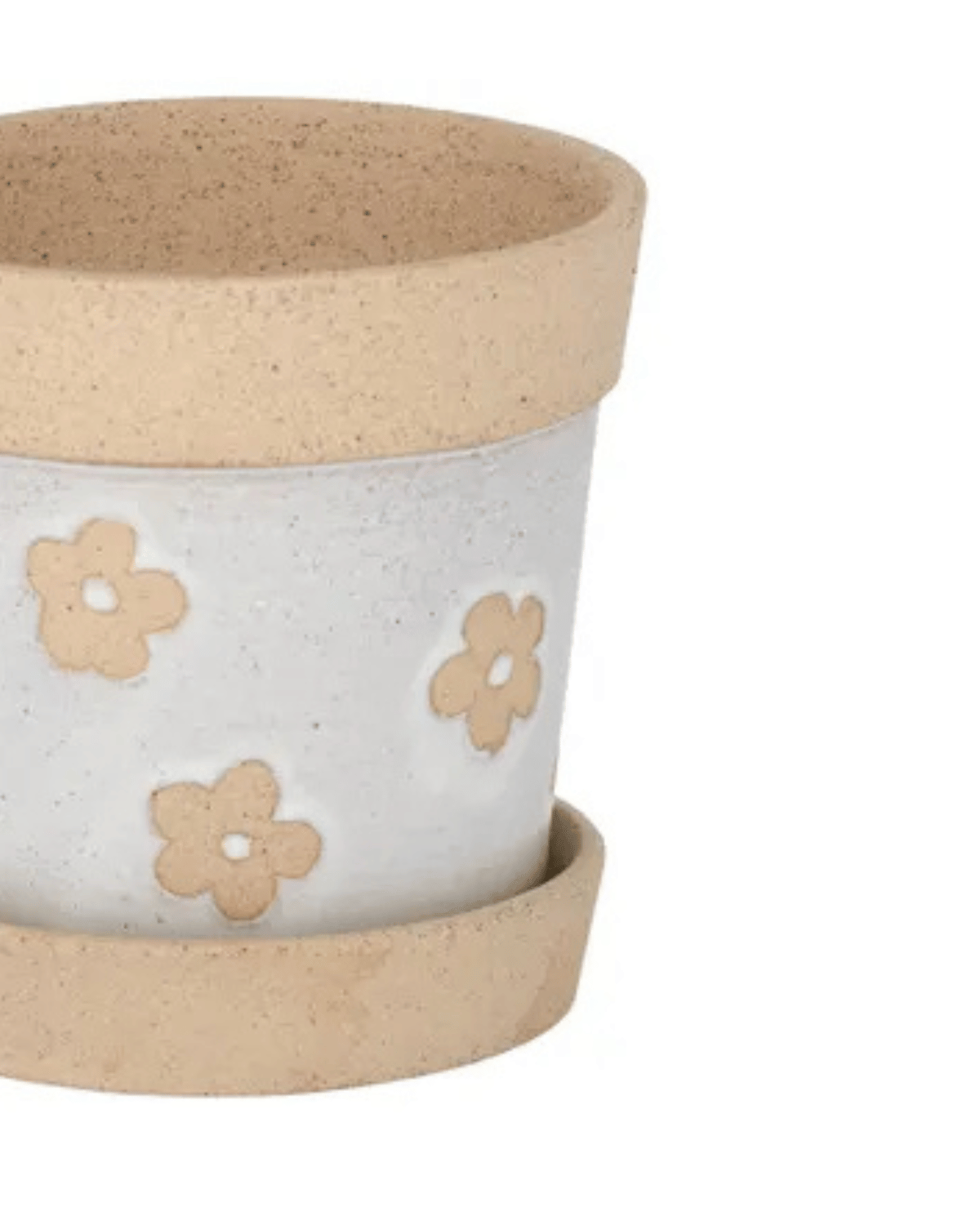 Daisy Planter Pot + Saucer 