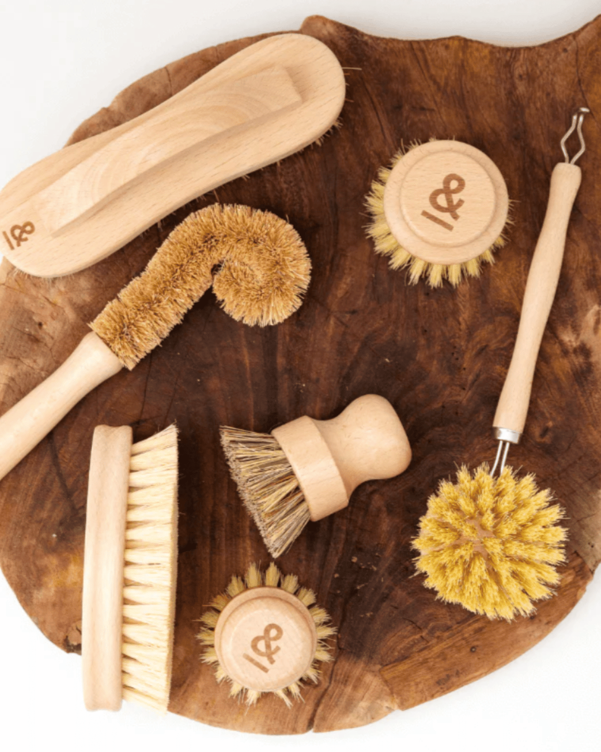 Seed &amp; Sprout Complete Kitchen Cleaning Wooden Brush Set 