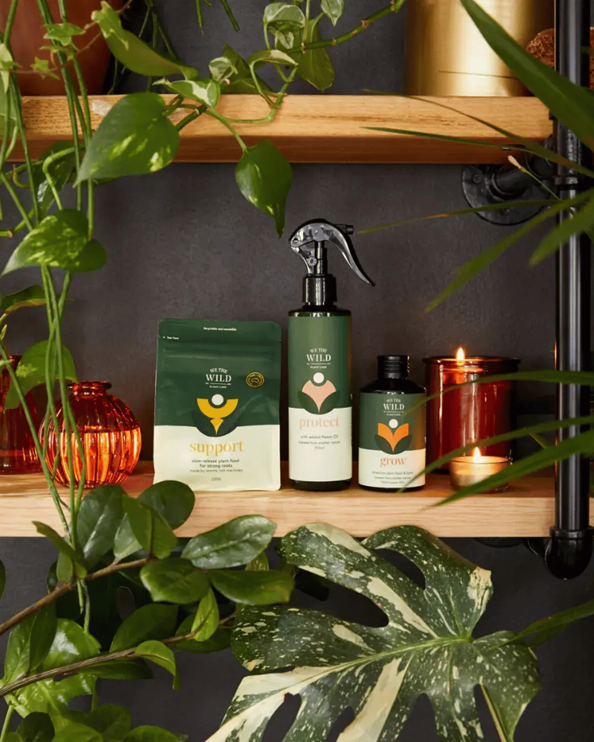 Essential Plant Care Kit by We The Wild  -indoor plant care