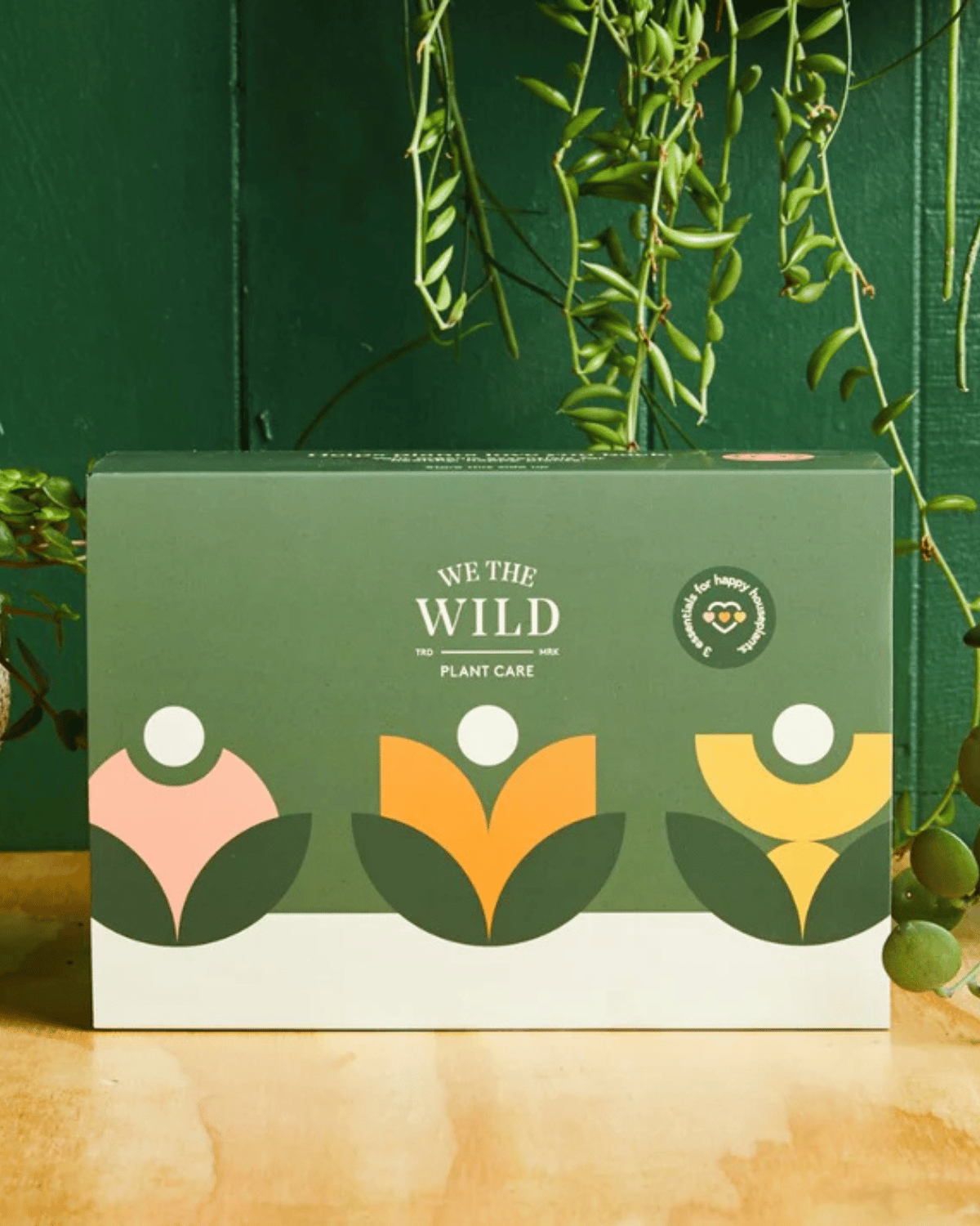 Essential Plant Care Kit by We The Wild  -indoor plant fertiliser