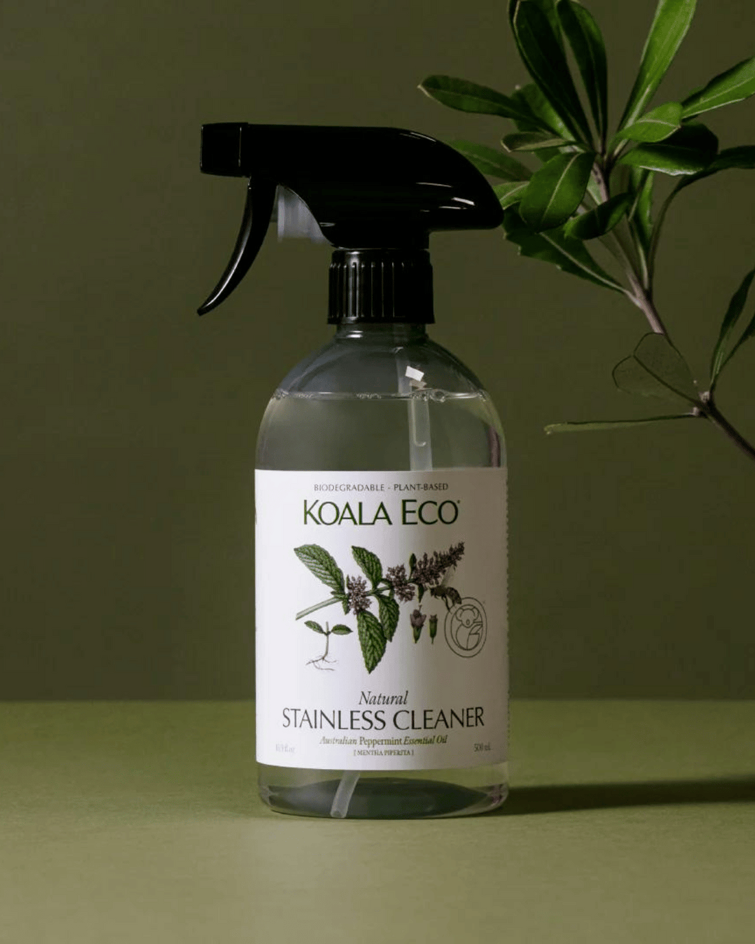 Natural Stainless Steel Cleaner by Koala Eco- Peppermint (500ml)