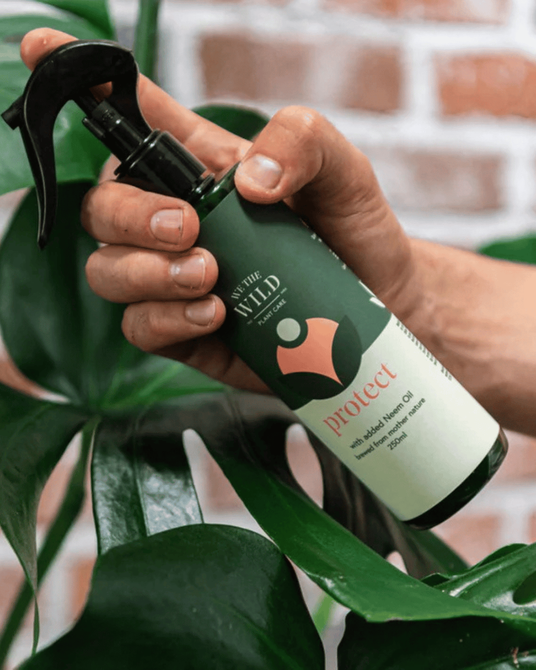 Protect Spray with Neem by We The Wild Plant Care