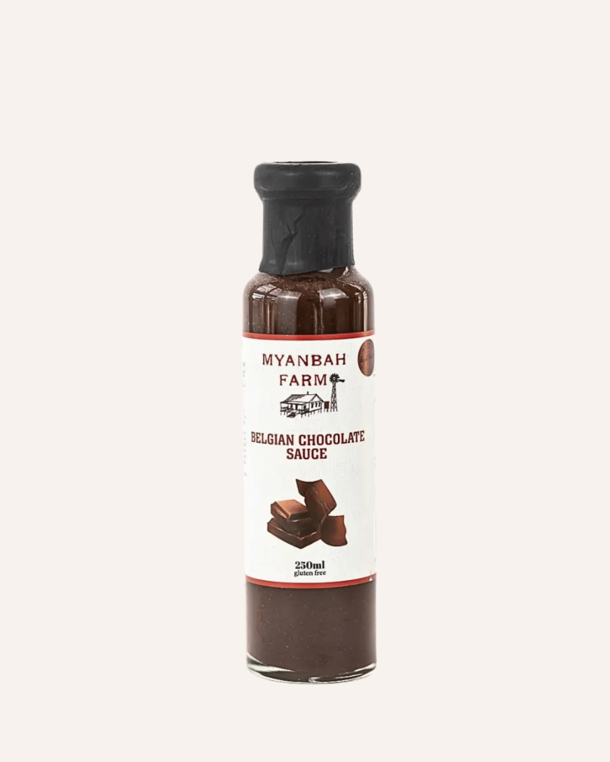 Rich Chocolate Sauce (250ml)