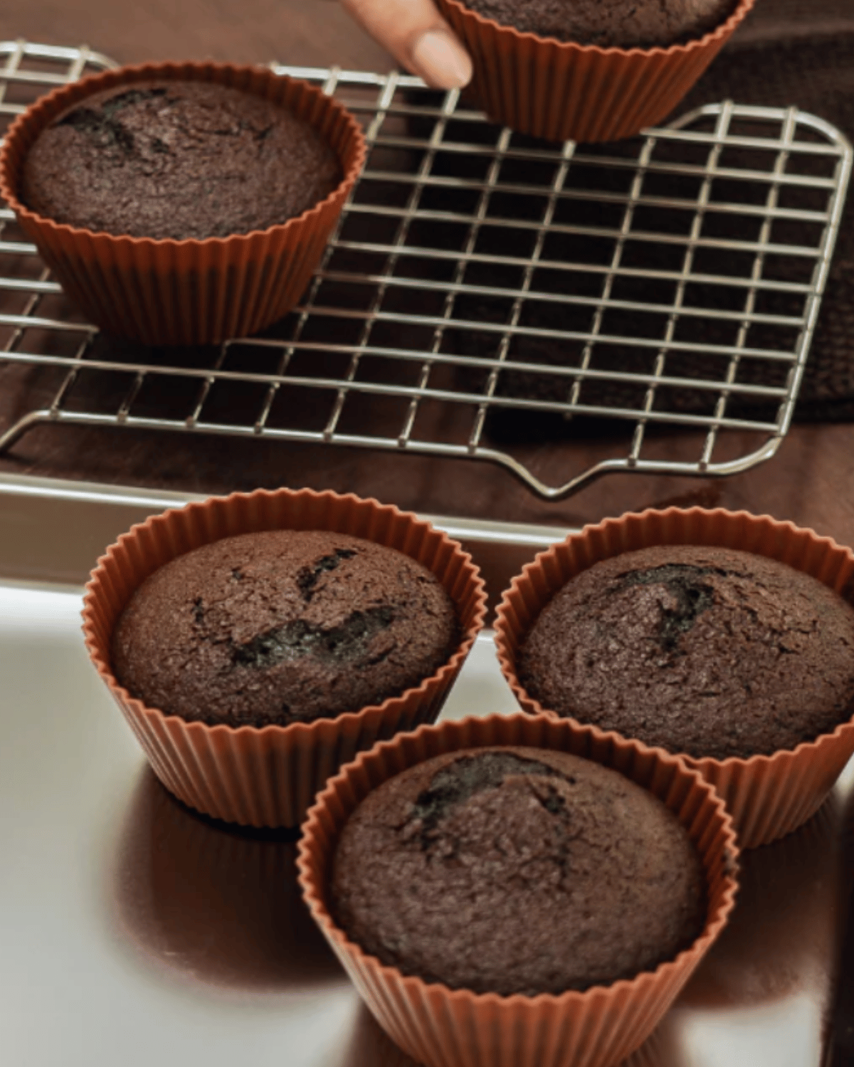 Seed &amp; Sprout Silicone Muffin Cups - Large