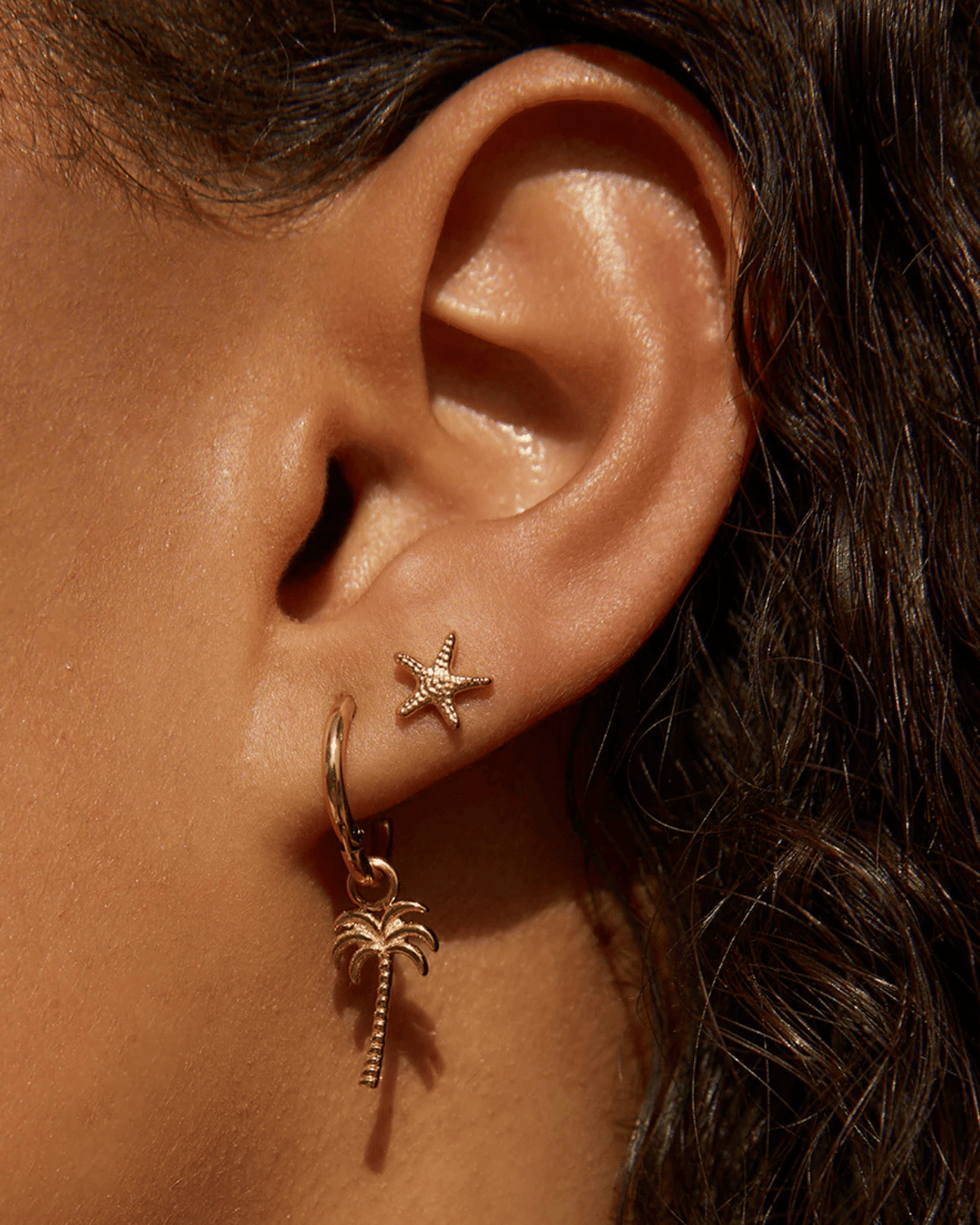 Starfish Gold Studs