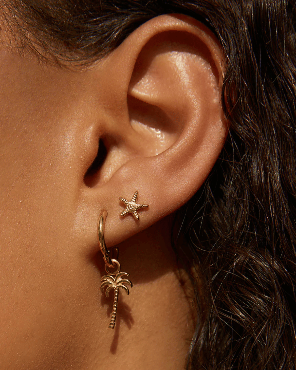 Starfish Gold Studs