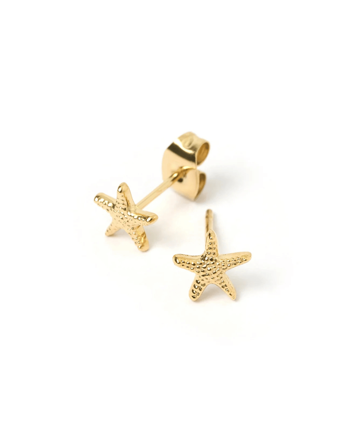 Starfish Gold Studs