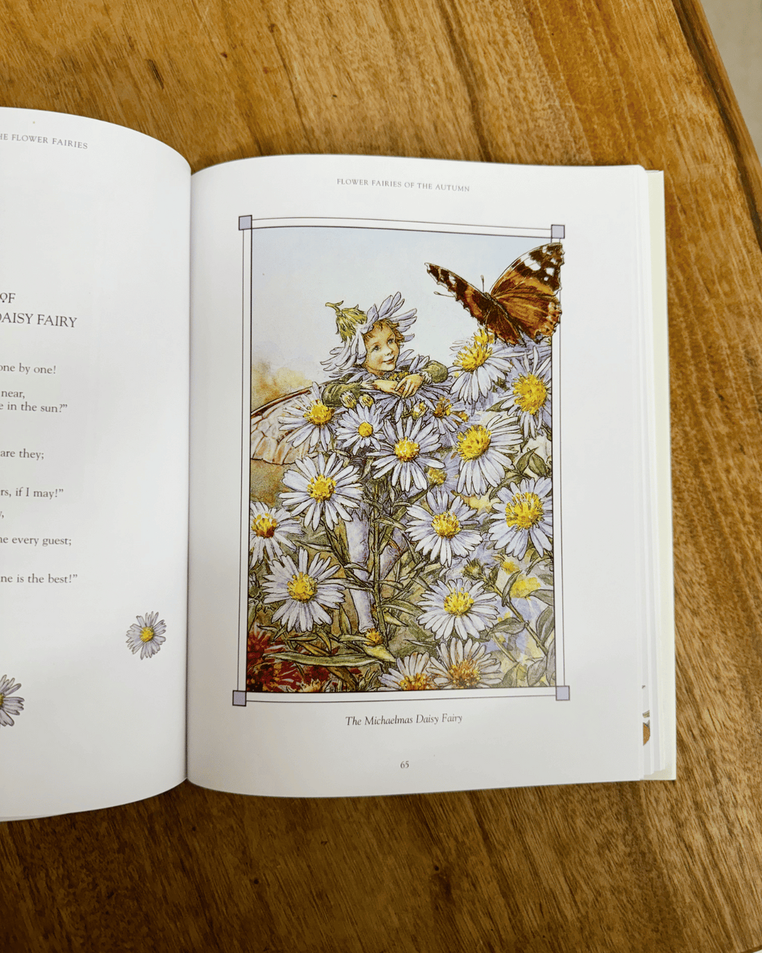 Flower Fairies Book for Kids