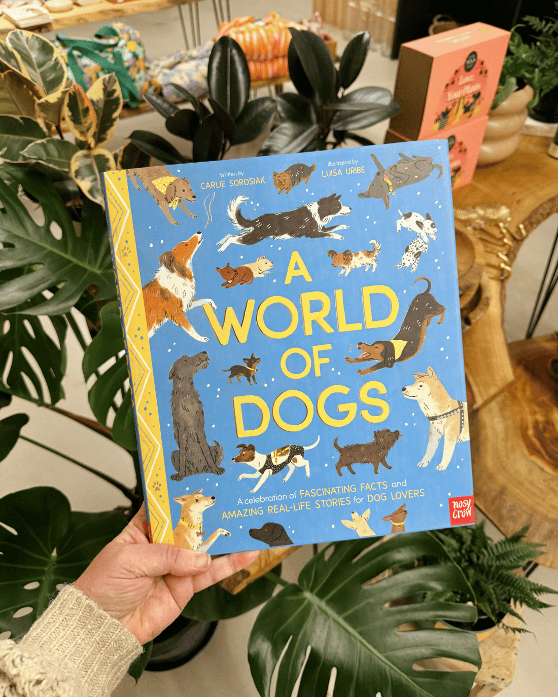 Childrens Book - A World of Dogs by Carlie Sorosiak