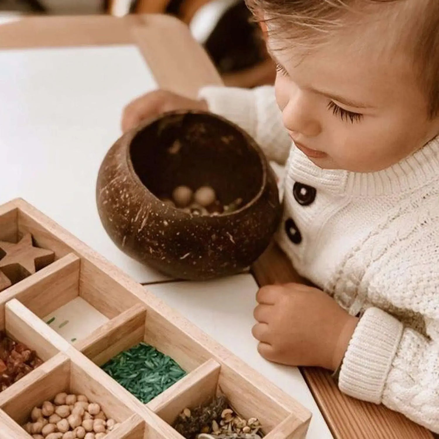 Qtoys Coconut Bowl filled with Sensory Toys